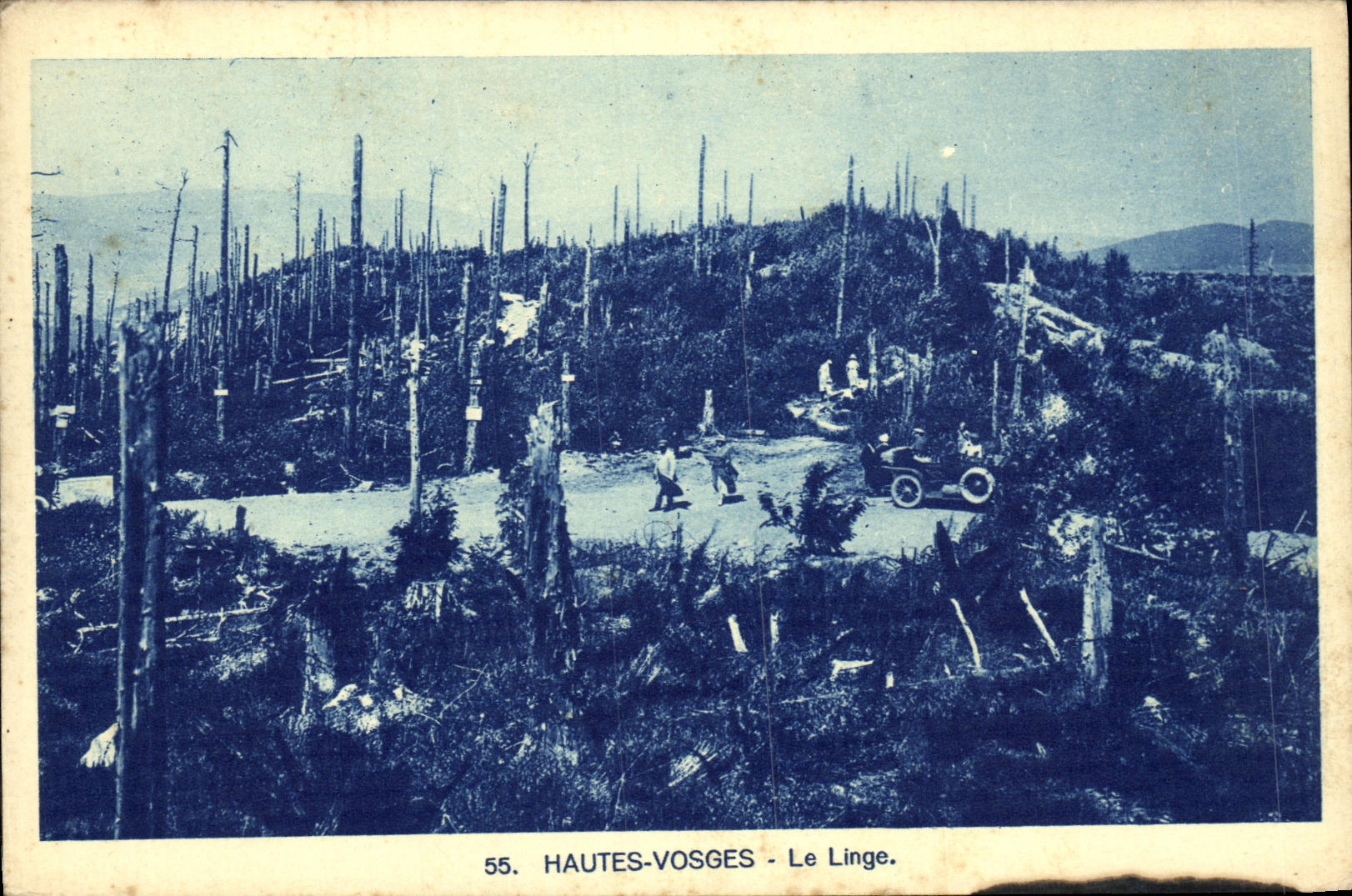 VINTAGE POSTCARD the High Vosges Lingo