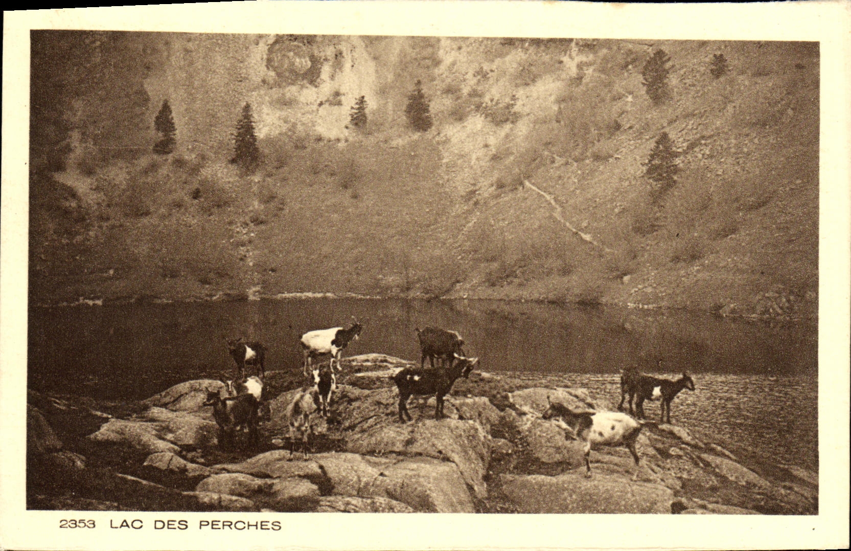 VINTAGE POSTCARD Lake Of the Poles Goats