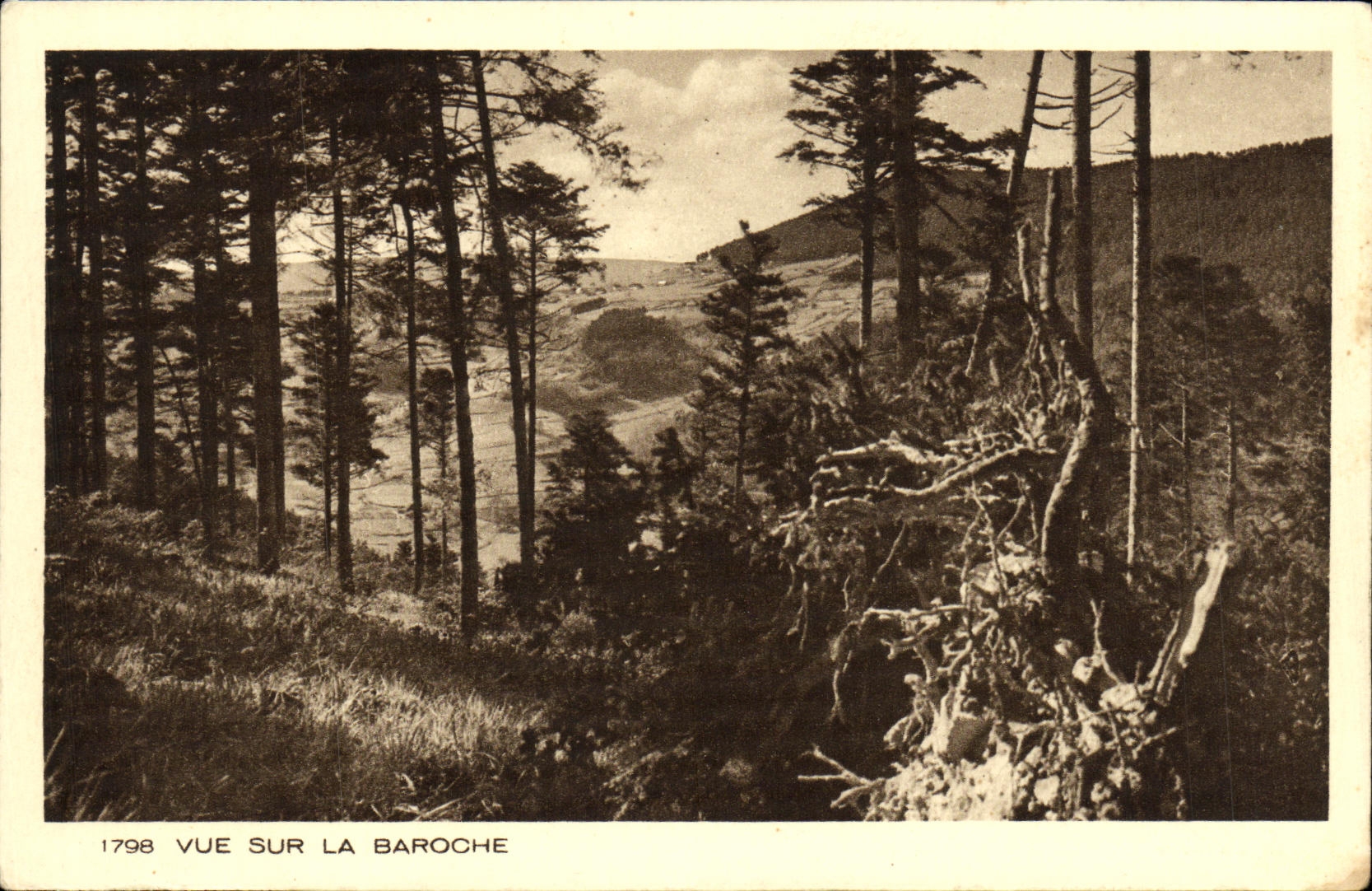 VINTAGE POSTCARD Seen On Baroche