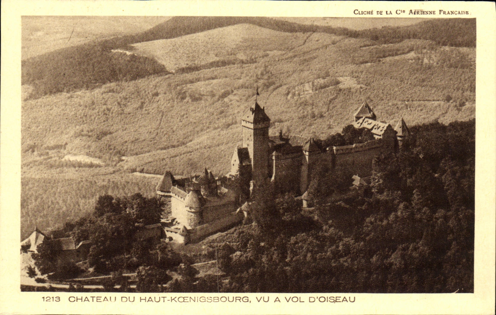 VINTAGE POSTCARD Castle of High Koenigsbourg Considering has Flight D bird