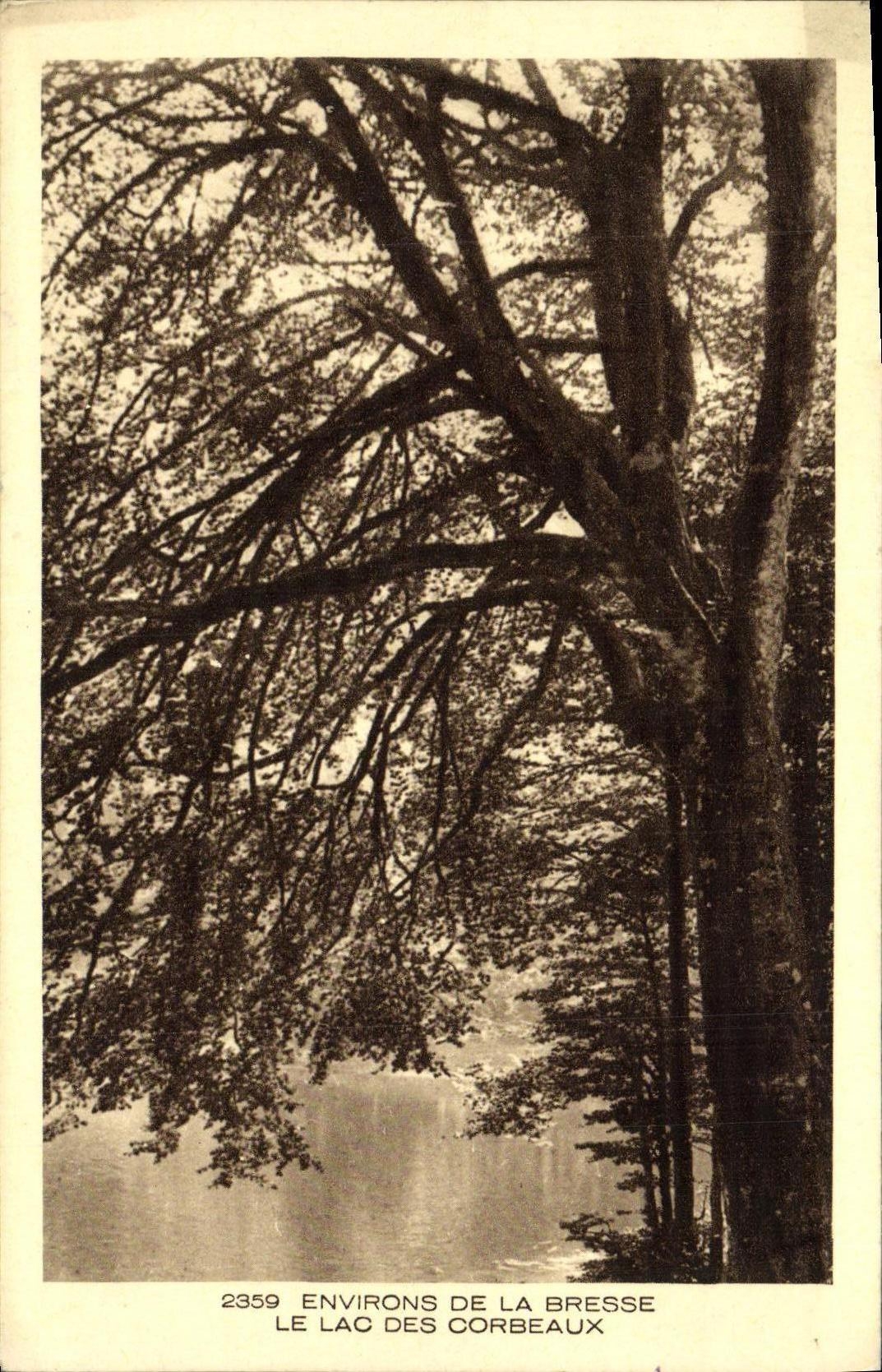 Alrededores de la POSTAL de la VENDIMIA del Bresse el lago de mensulas