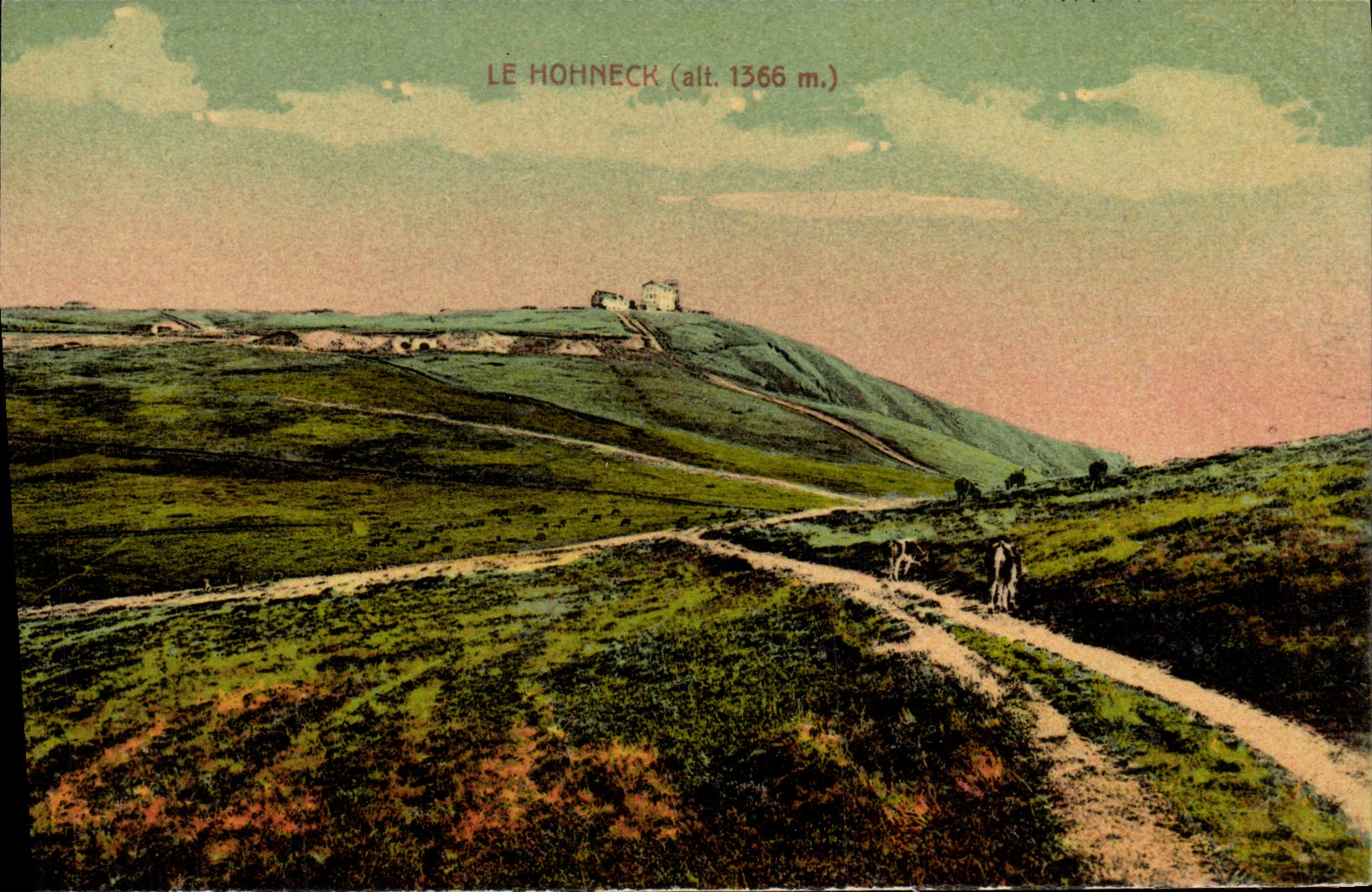 VINTAGE POSTCARD Hohneck
