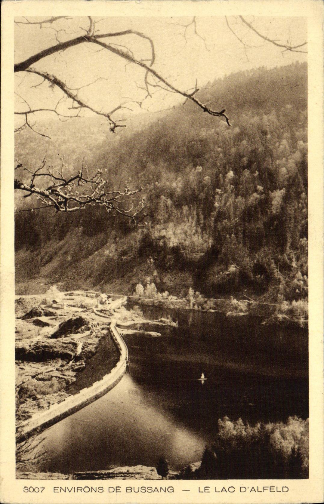 VINTAGE POSTCARD Surroundings of Bussang the Lake D Alfeld