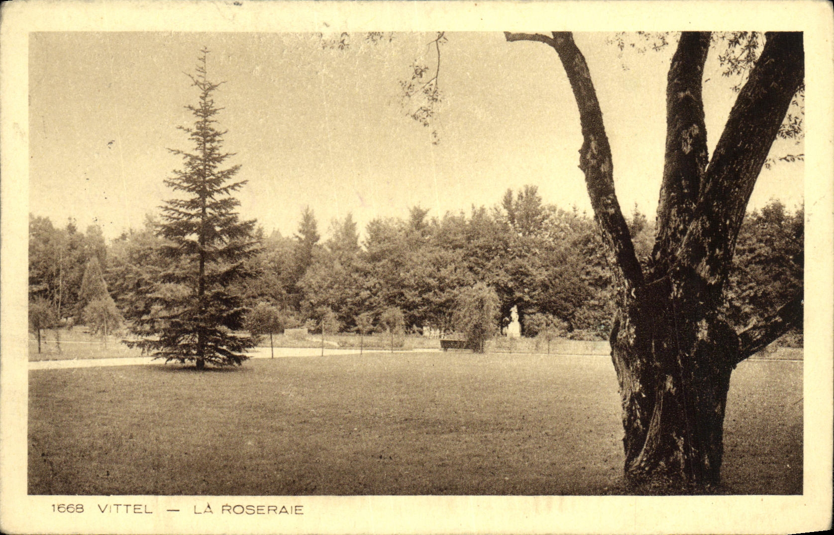 VINTAGE POSTCARD Vittel the Rosery