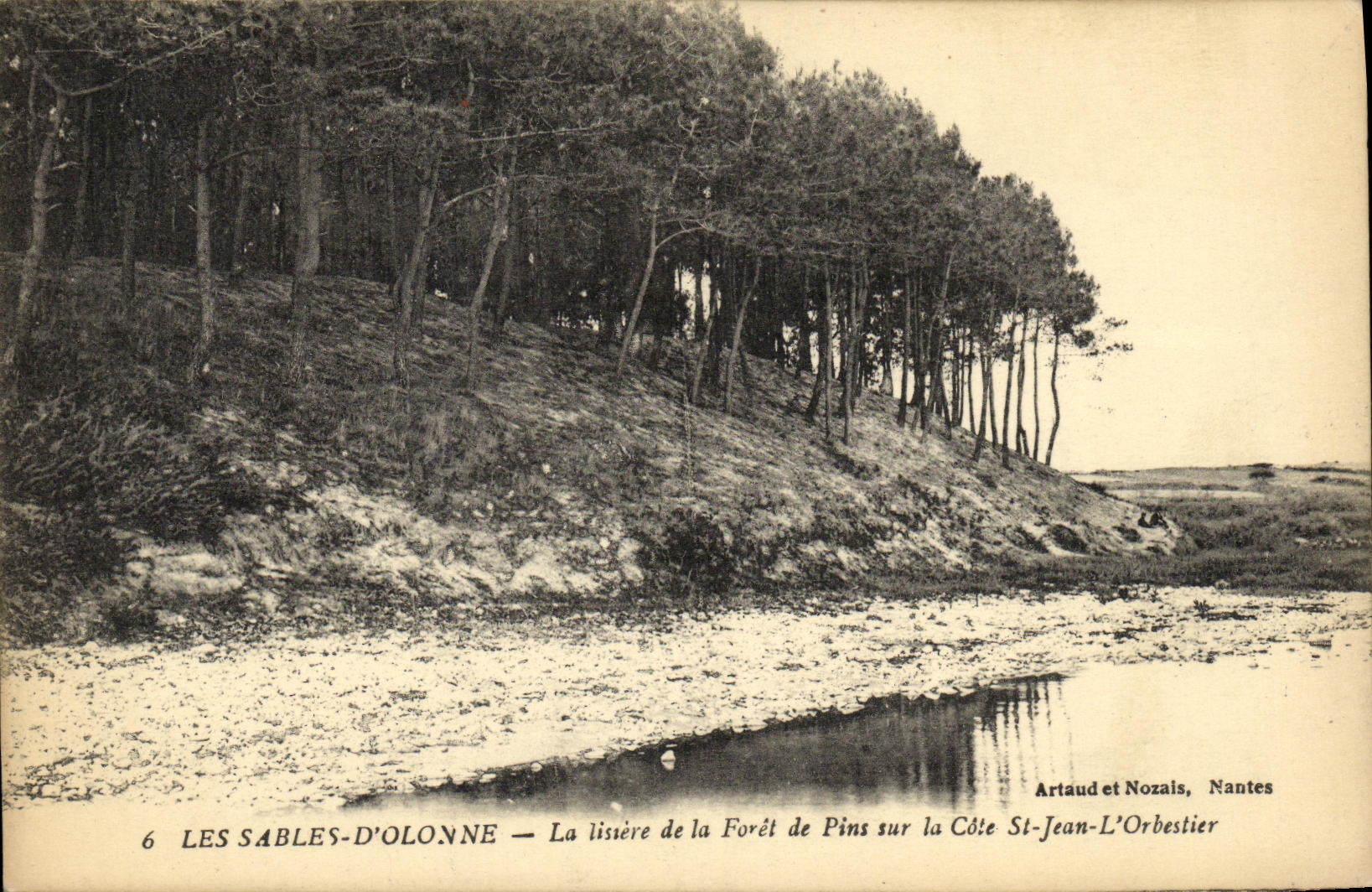 VINTAGE POSTCARD Sands D Olonne the Edge of the Drill of Pines On the Dimension St Jean L Orbestier