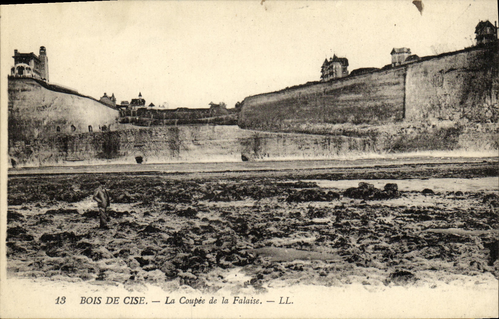 VINTAGE POSTCARD Wood De Cise Coupee of Cliff