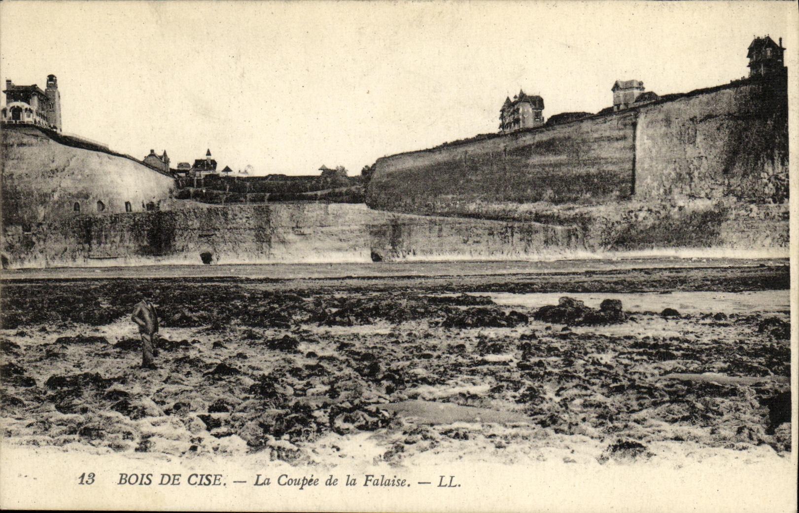 VINTAGE POSTCARD Wood De Cise Coupee of Cliff