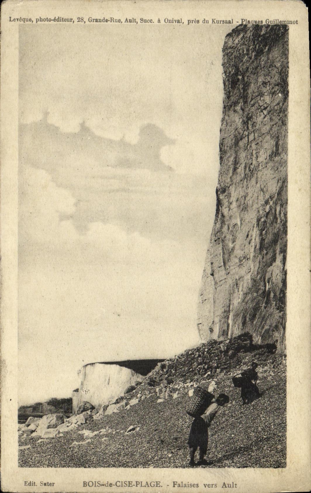 VINTAGE POSTCARD Wood De Cise Cliffs Towards Ault