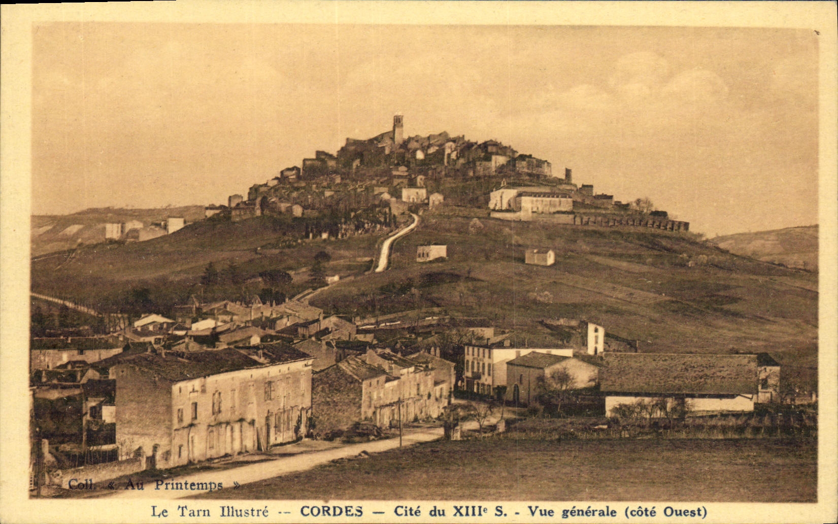 La POSTAL de la VENDIMIA Cords la vision