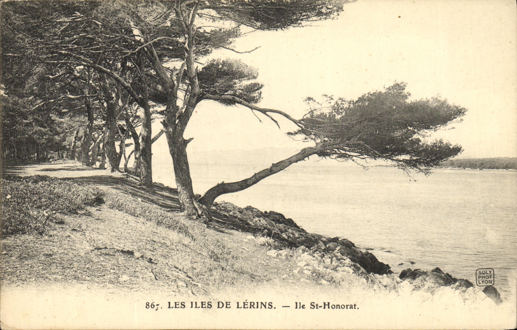 VINTAGE POSTCARD the Islands De Lerins Island St Honorat