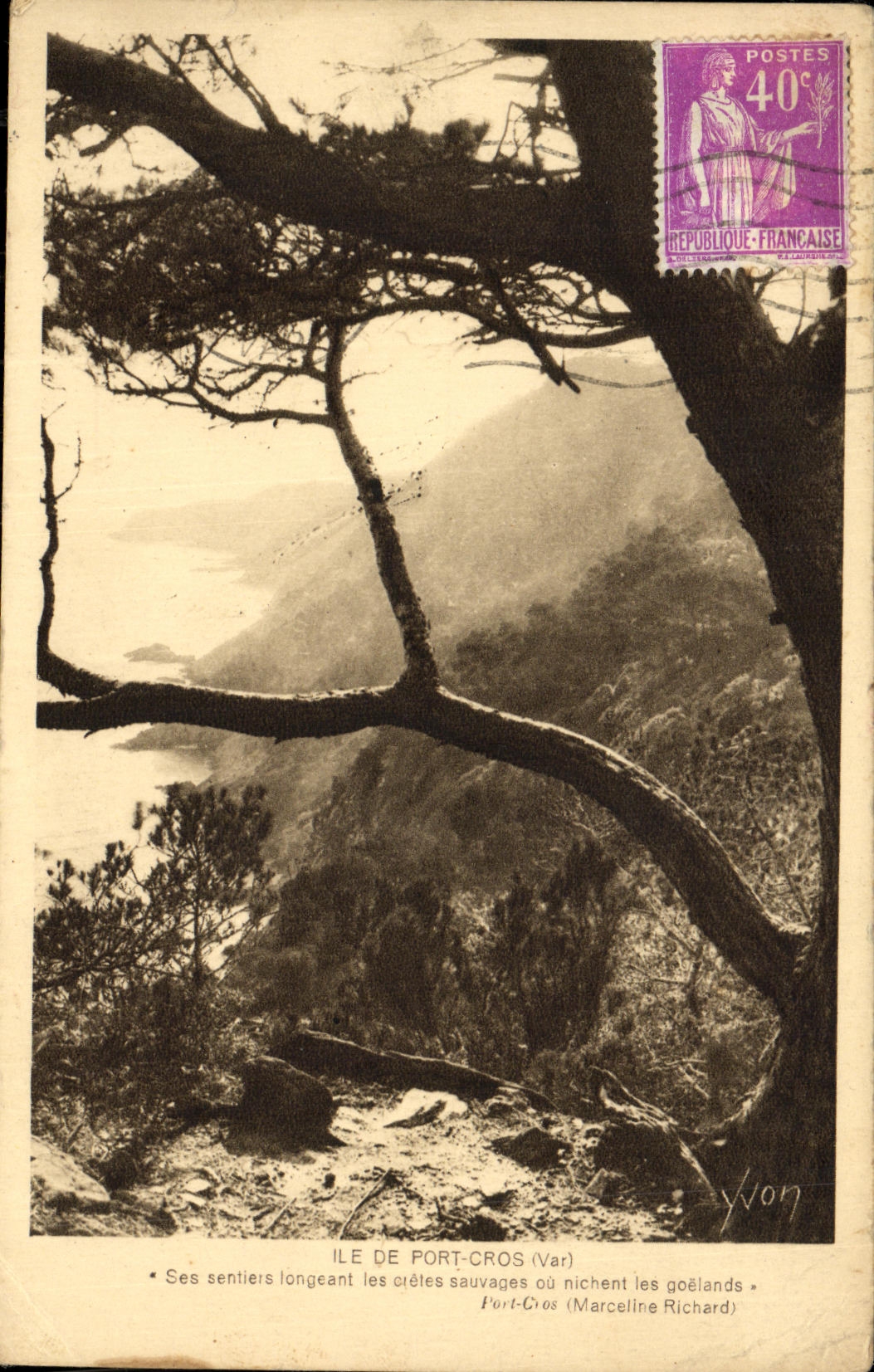 VINTAGE POSTCARD Island of Port Cross country race