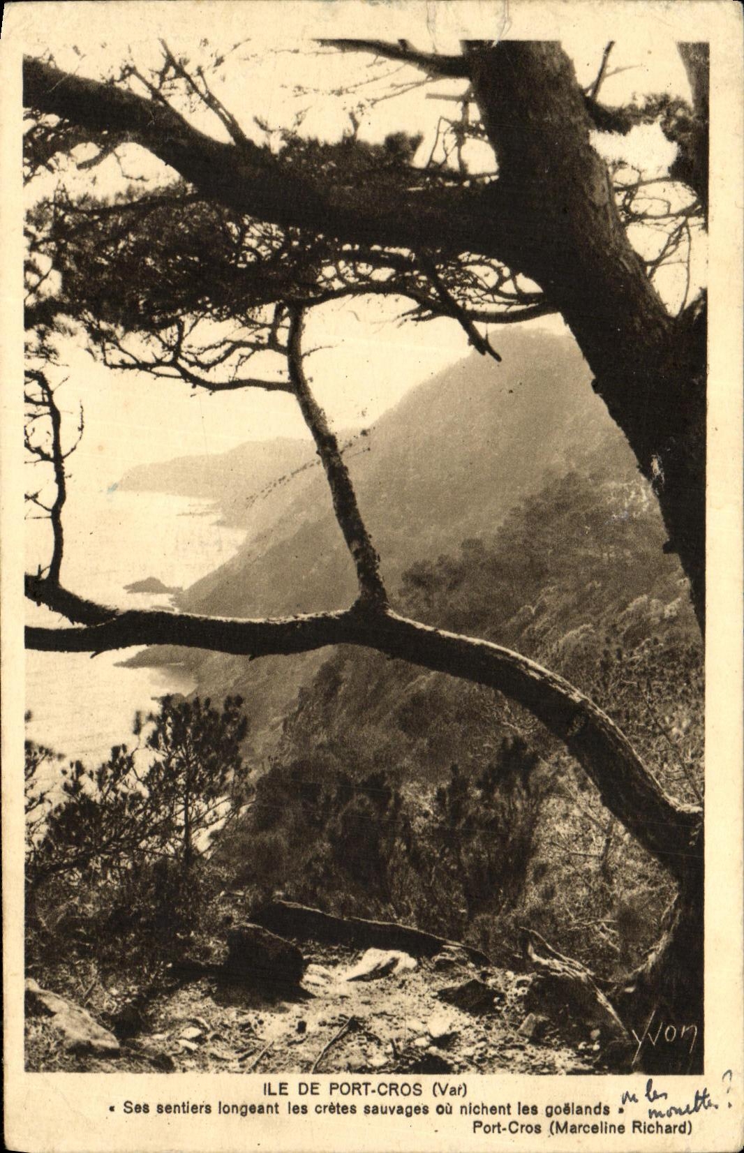 VINTAGE POSTCARD Island Of Port Cross country race See Paths Skirting the wild peaks