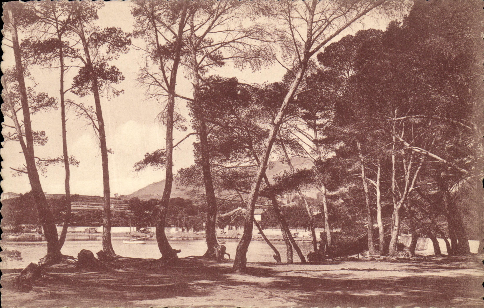 VINTAGE POSTCARD Salettes Top of Carquiranne