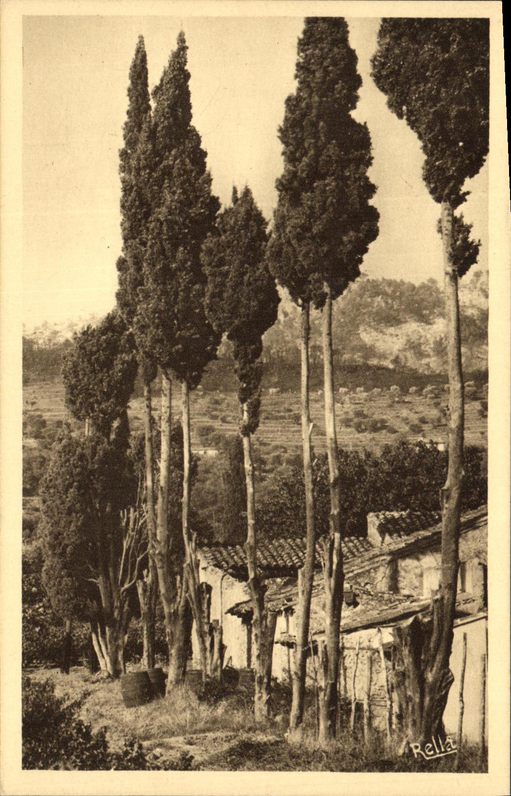 CPA Paysage provencal