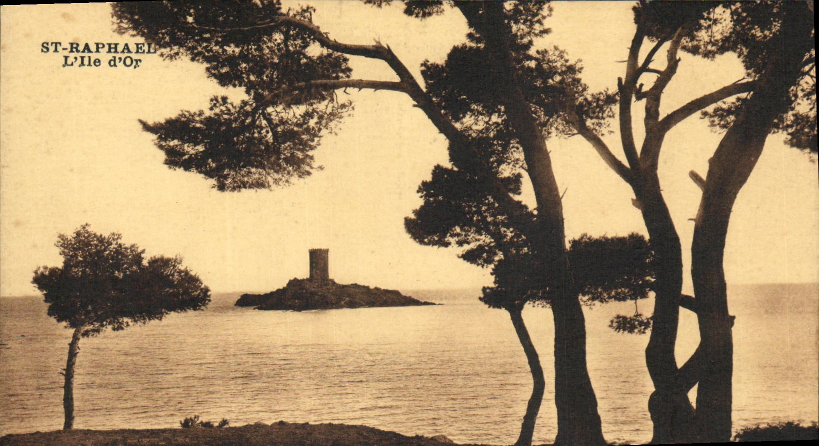 Raphael santo L oro de la POSTAL de la VENDIMIA de la isla D