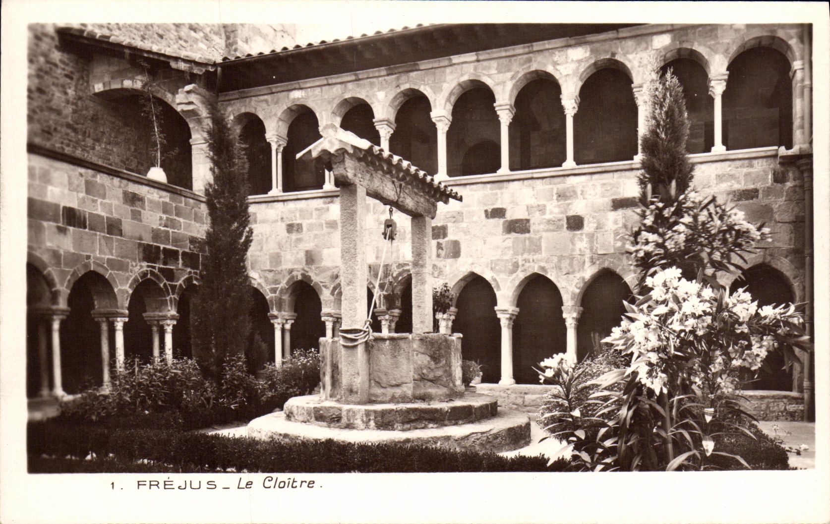 VINTAGE POSTCARD Frejus the Cloister