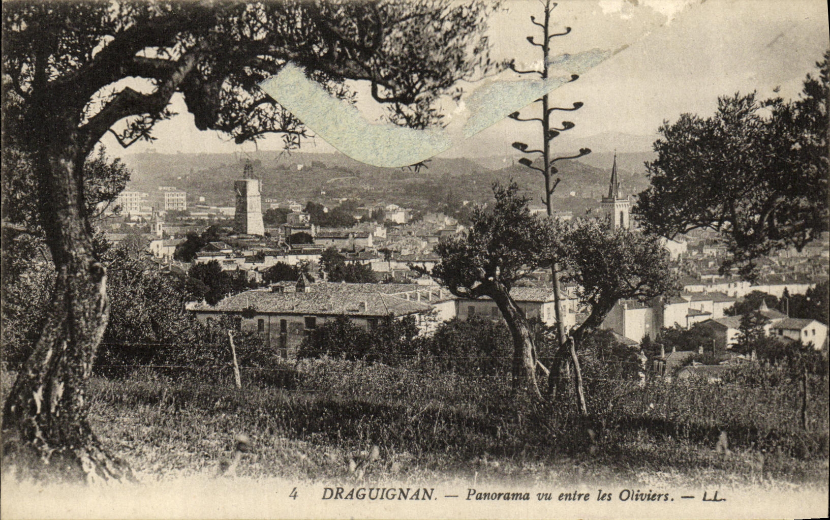 VINTAGE POSTCARD Draguignan Panorama between the Olive trees