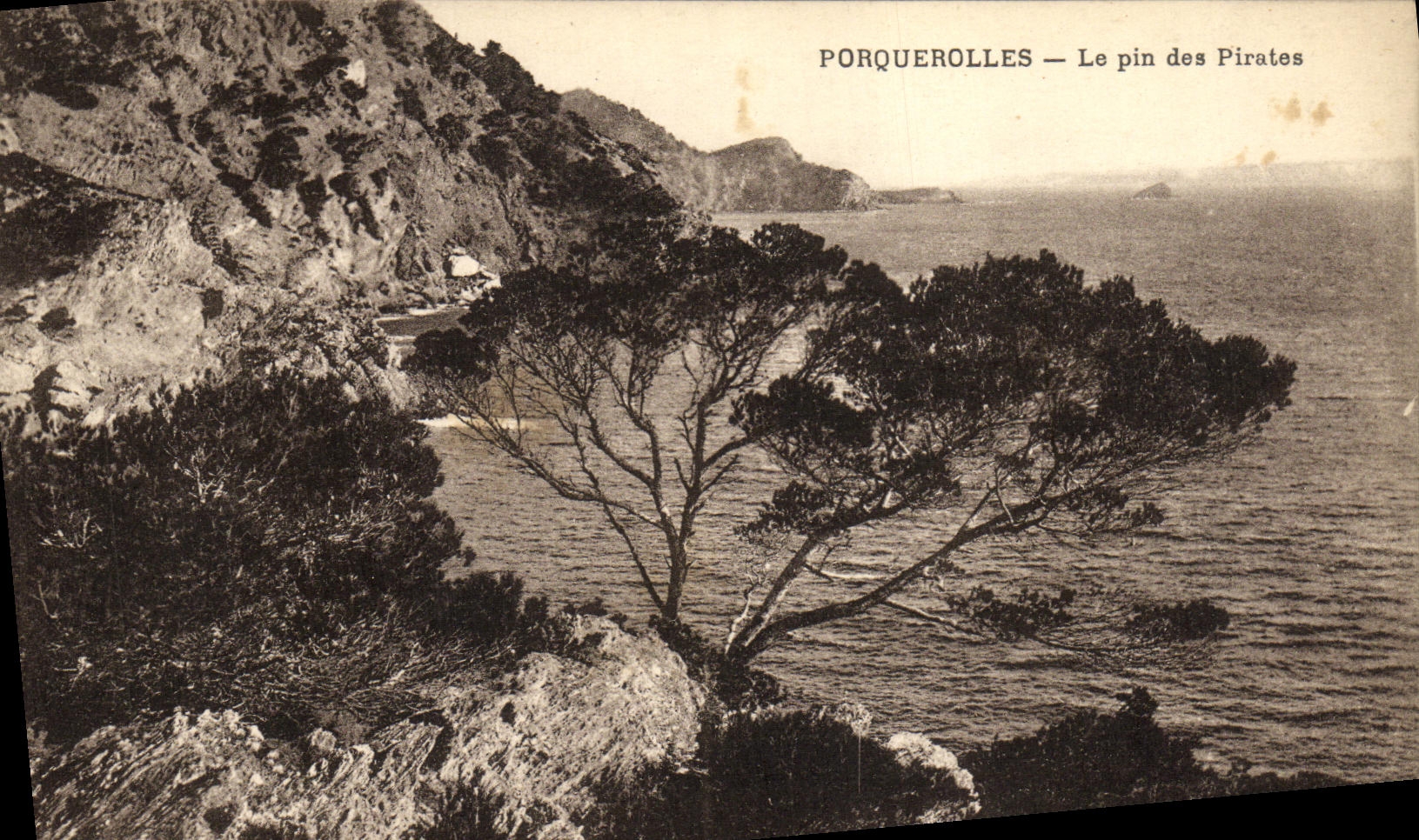 CPA Ile Porquerolles Le Pin des Pirates