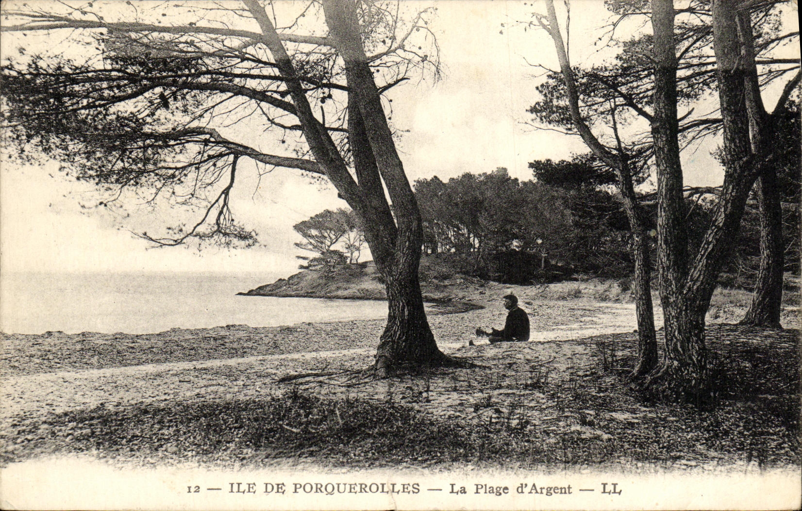 VINTAGE POSTCARD Island De Porquerolles the Beach D Money