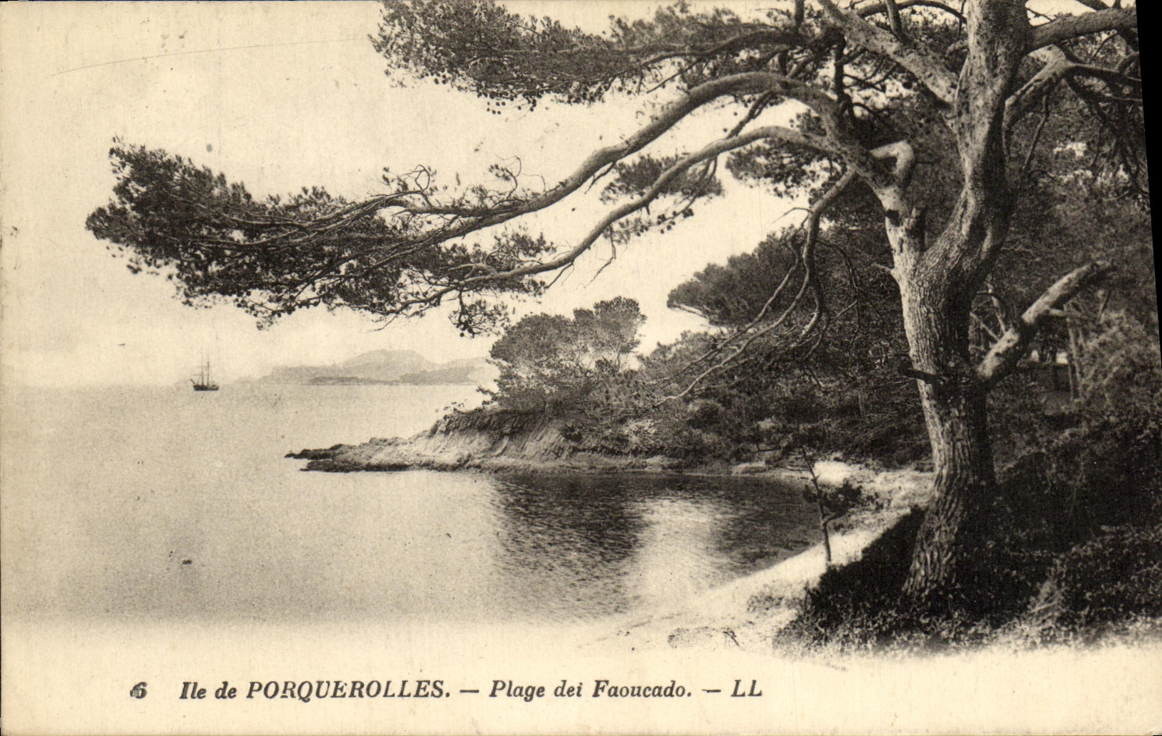 CPA Ile De Porquerolles La Plage dei Faoucado