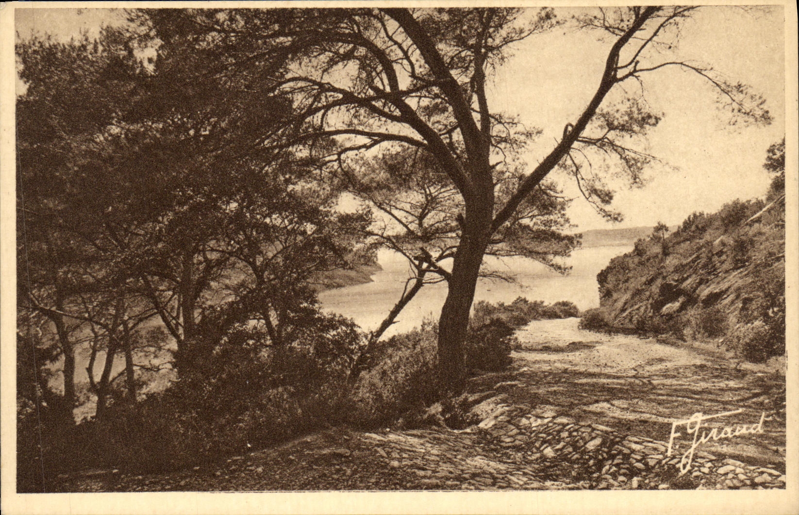 Isla de la POSTAL de la VENDIMIA de la comuna portuaria D Hyeres de la raza a campo traves un torneado del camino del acantilado