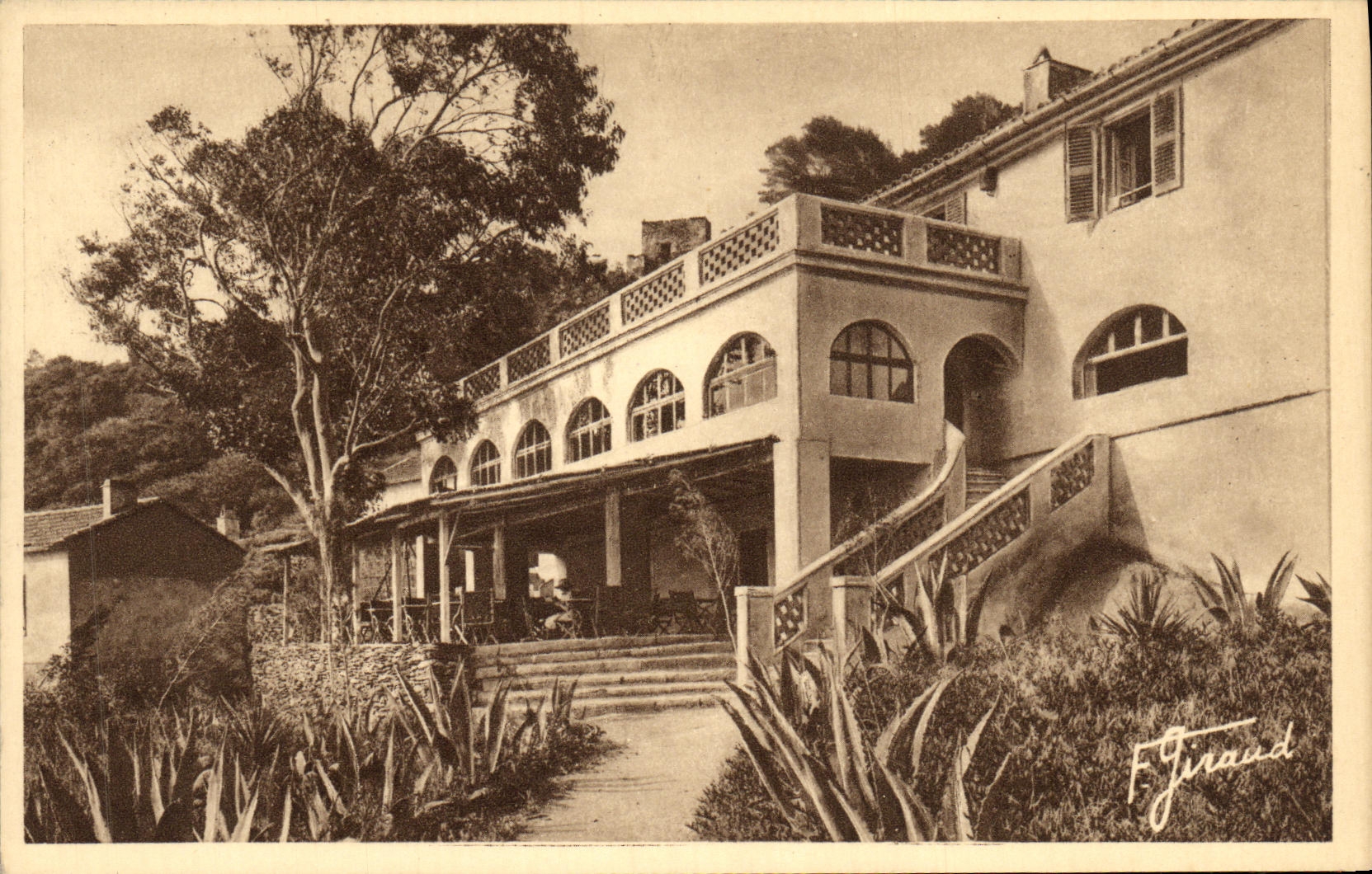 Isla de Hyeres de la POSTAL de la VENDIMIA de la comuna portuaria D Hyeres L meson de moda de la raza a campo traves del pais del comedor de Provence la terraza