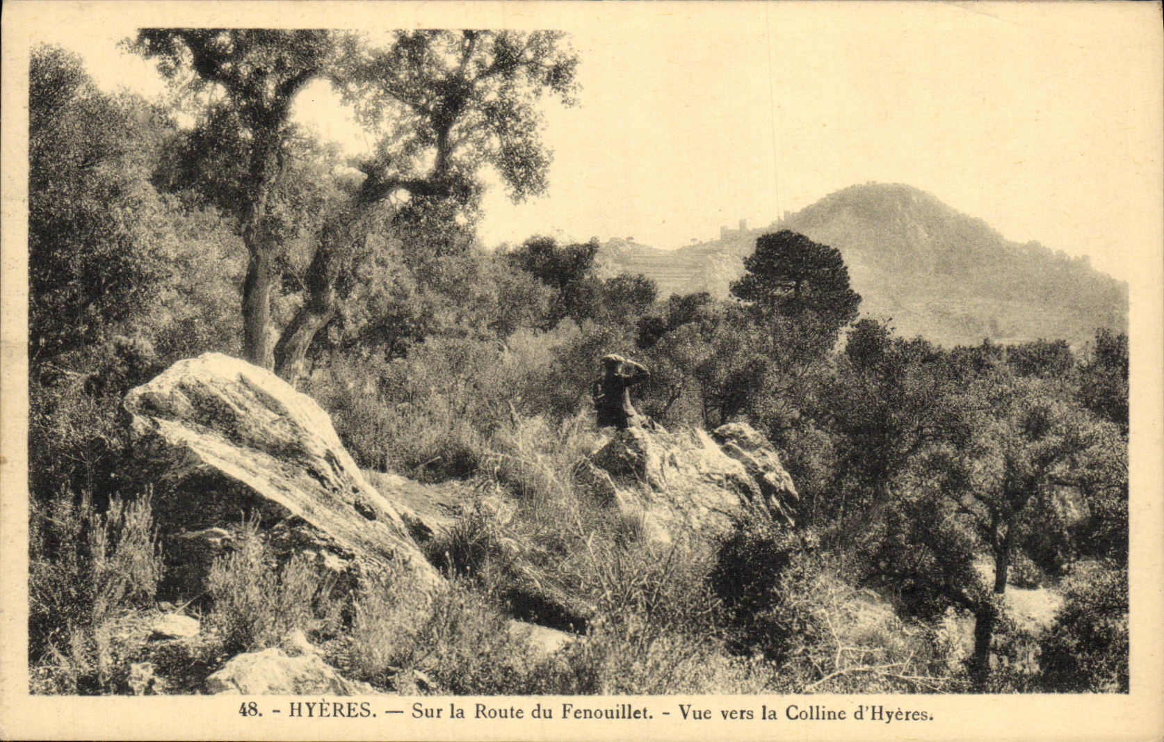 CPA Hyeres Sur la Route du Fenouillet Vue vers la Colline