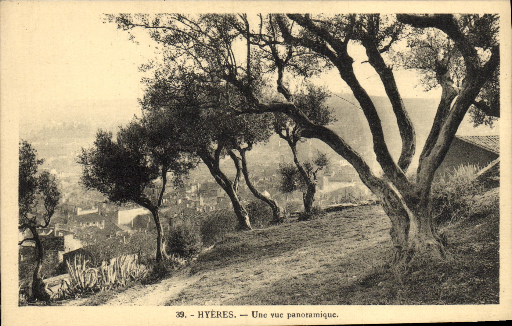 POSTAL Hyeres de la VENDIMIA una vision panoramica
