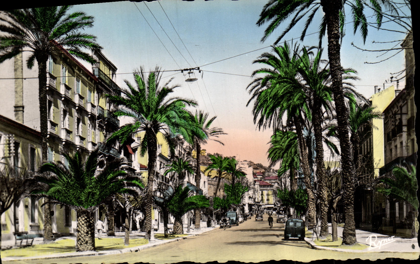 CPA Hyeres Les Palmiers Avenue Gambetta