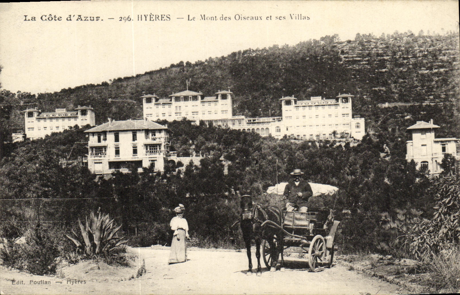 POSTAL de la VENDIMIA el azul de la dimension D IIyeres el montaje de los pajaros y de sus chalets