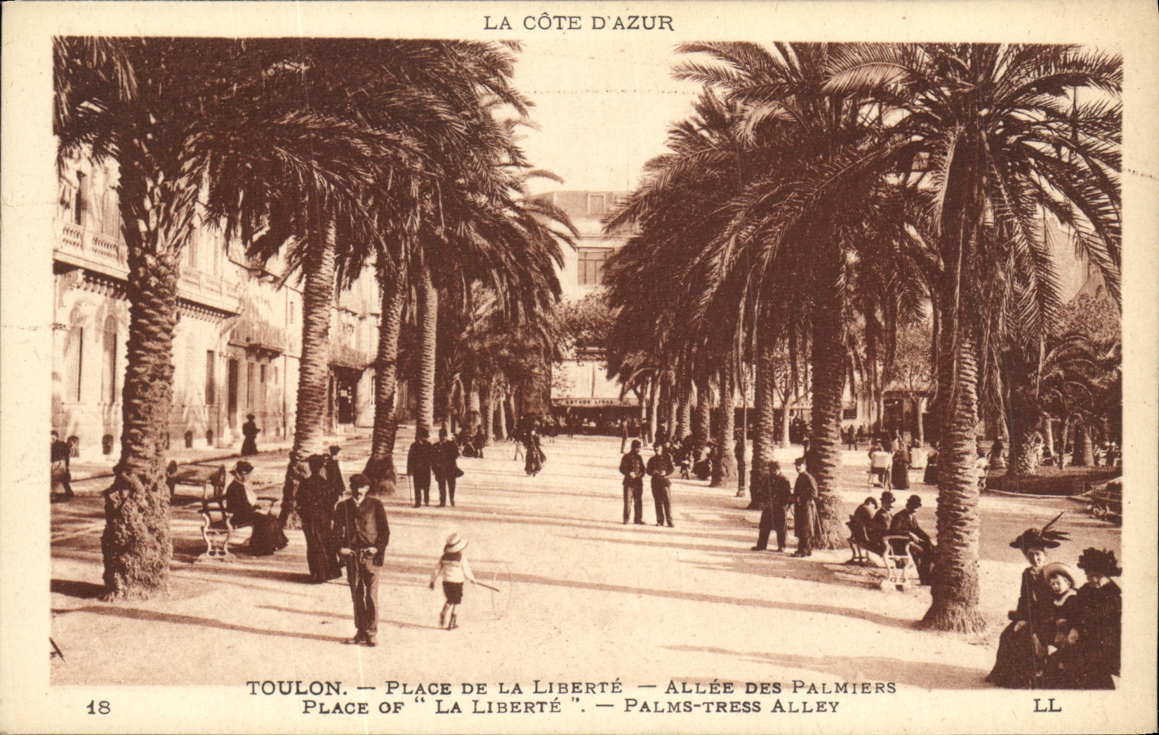VINTAGE POSTCARD Toulon Places Gone Freedom Of the Palm trees