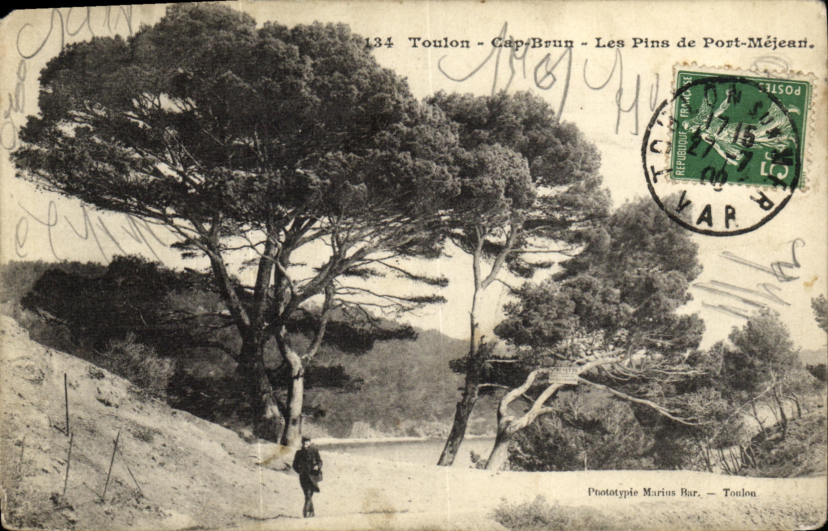 VINTAGE POSTCARD Toulon Cape Brown Pines Of Mejeart Port