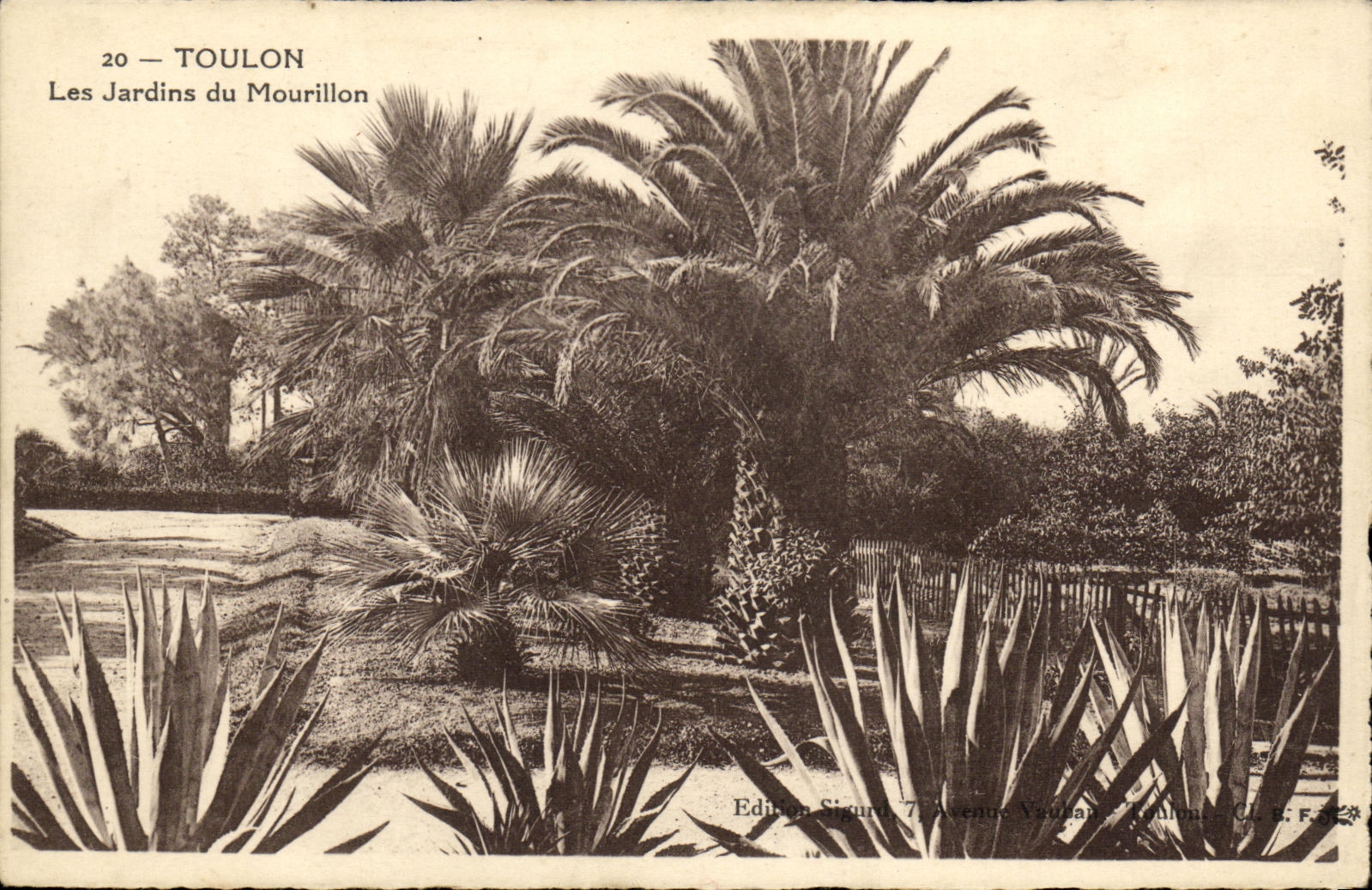 VINTAGE POSTCARD Toulon Gardens Of Mourillon