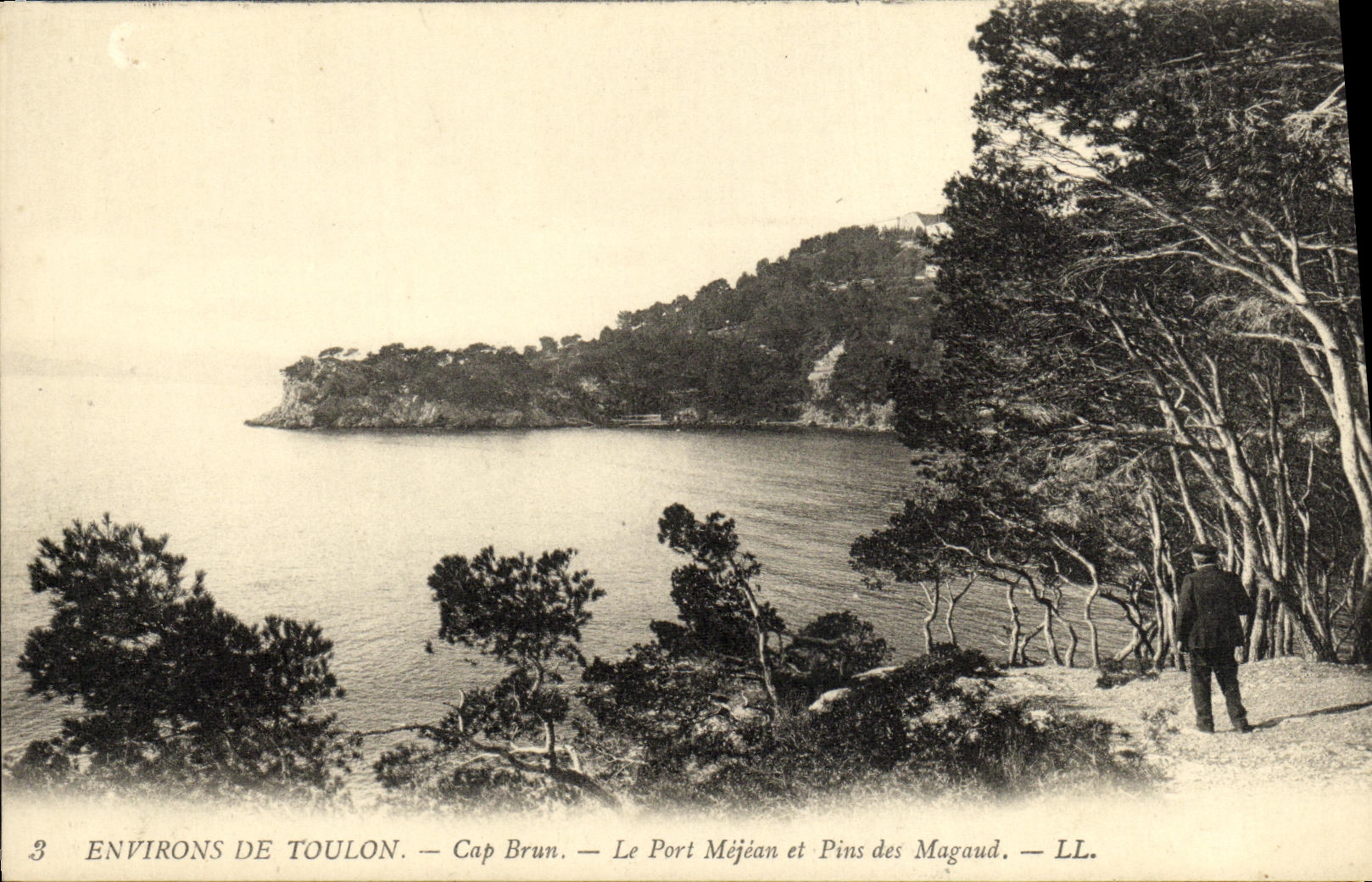 VINTAGE POSTCARD Toulon Surroundings Of Brown Cape the Mejean Port and Pins of Magaud