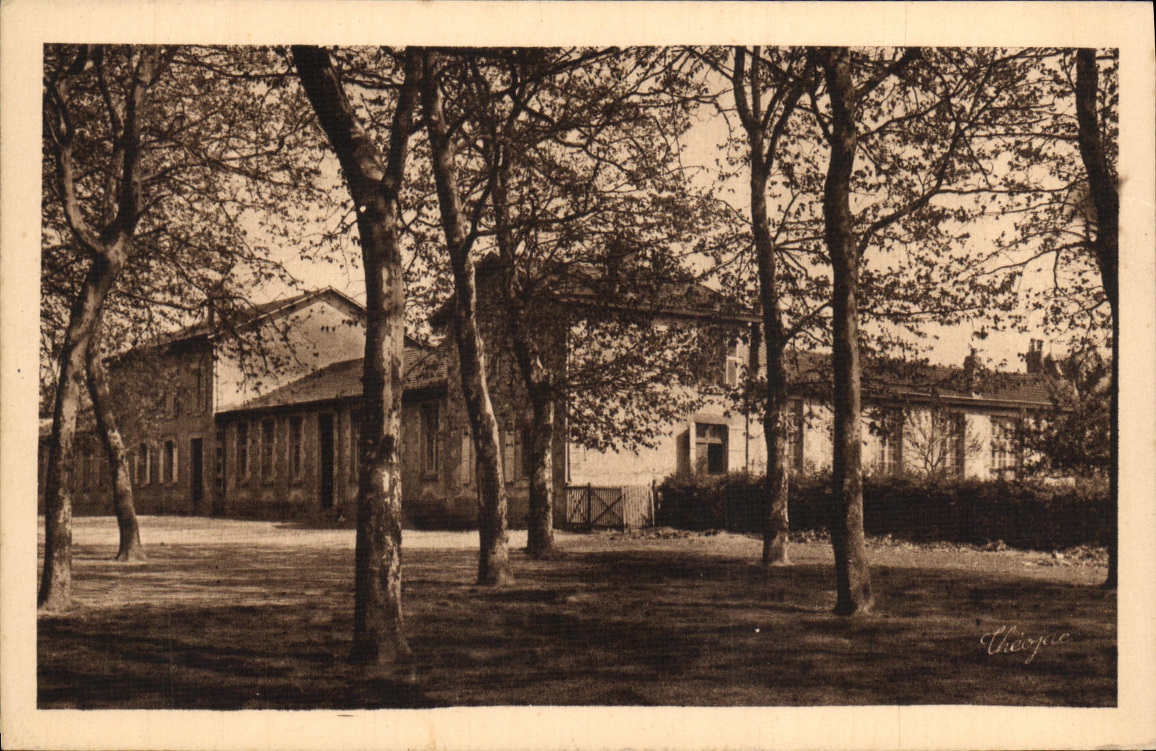 VINTAGE POSTCARD Chalus Elementary Schools