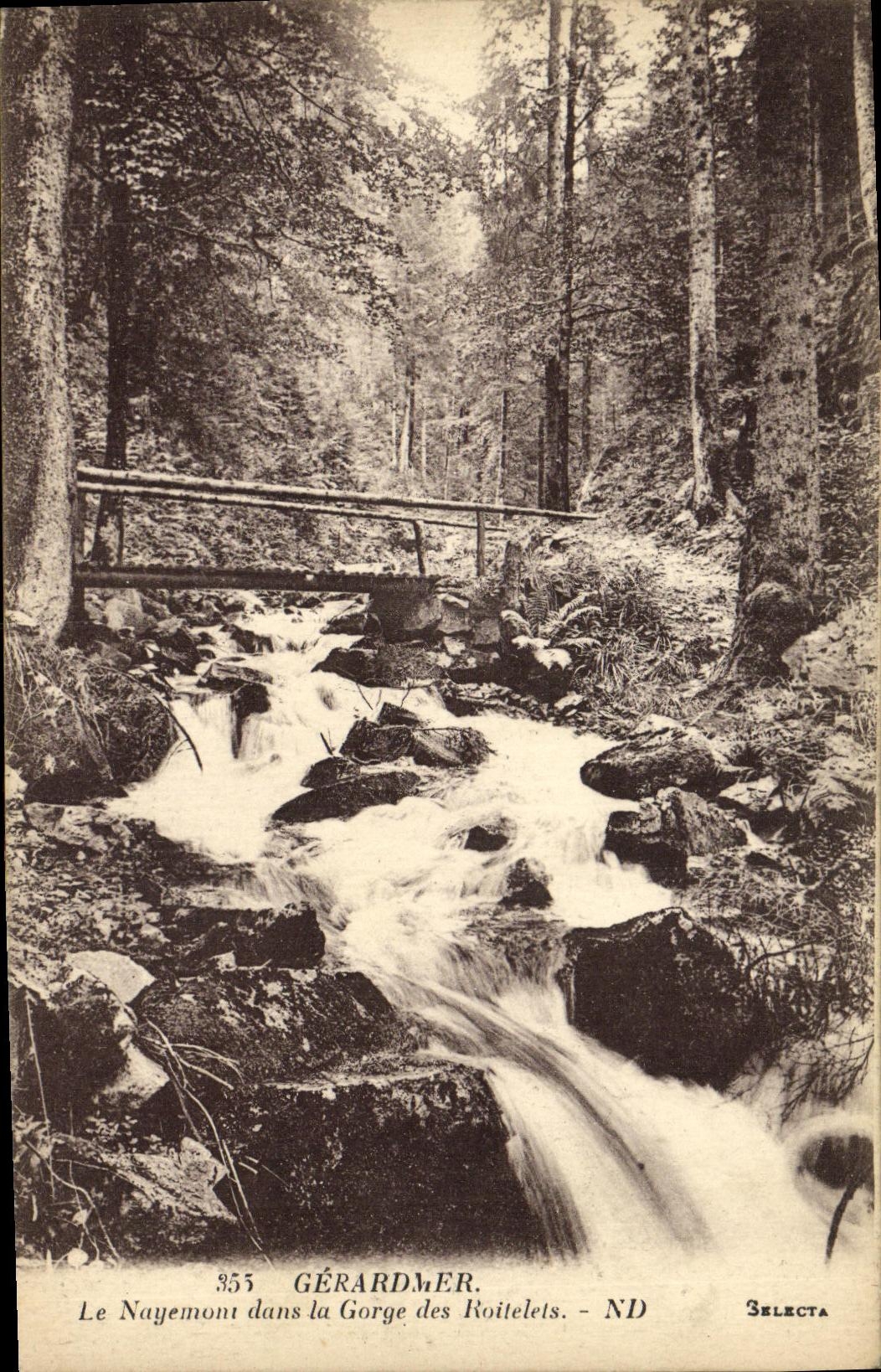 VINTAGE POSTCARD Gerardmer Nayemomt in the Throat of the Kinglets