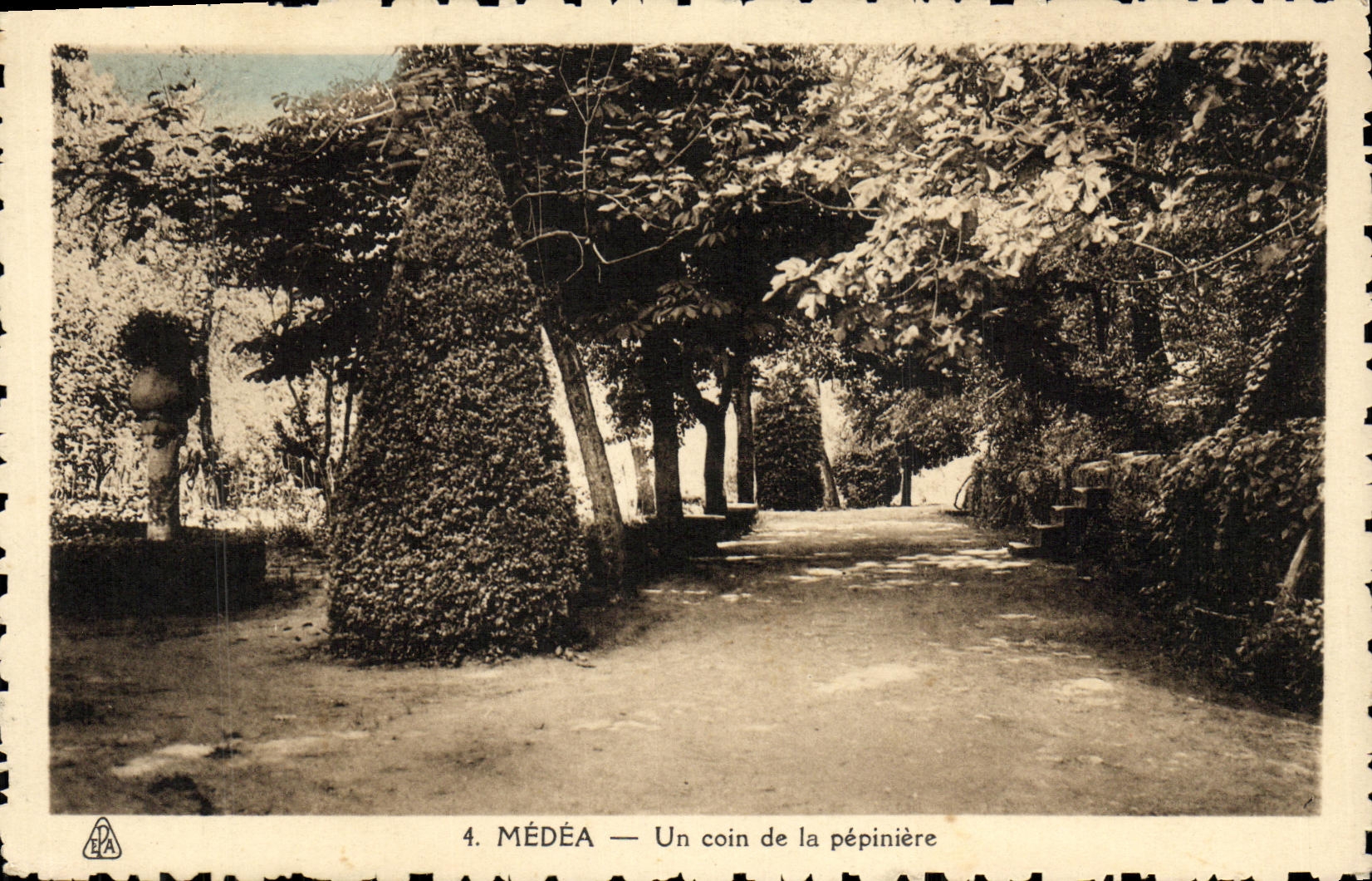POSTAL Medea de la VENDIMIA una esquina del Seedbed