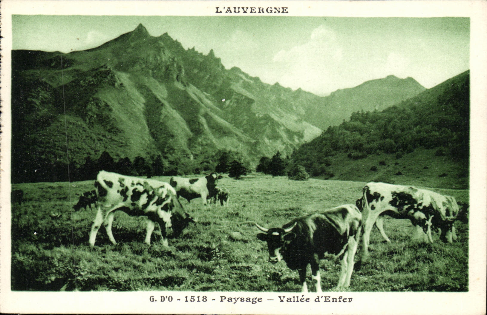 VINTAGE POSTCARD L Auvergne Landscape Valley D Hell Cows