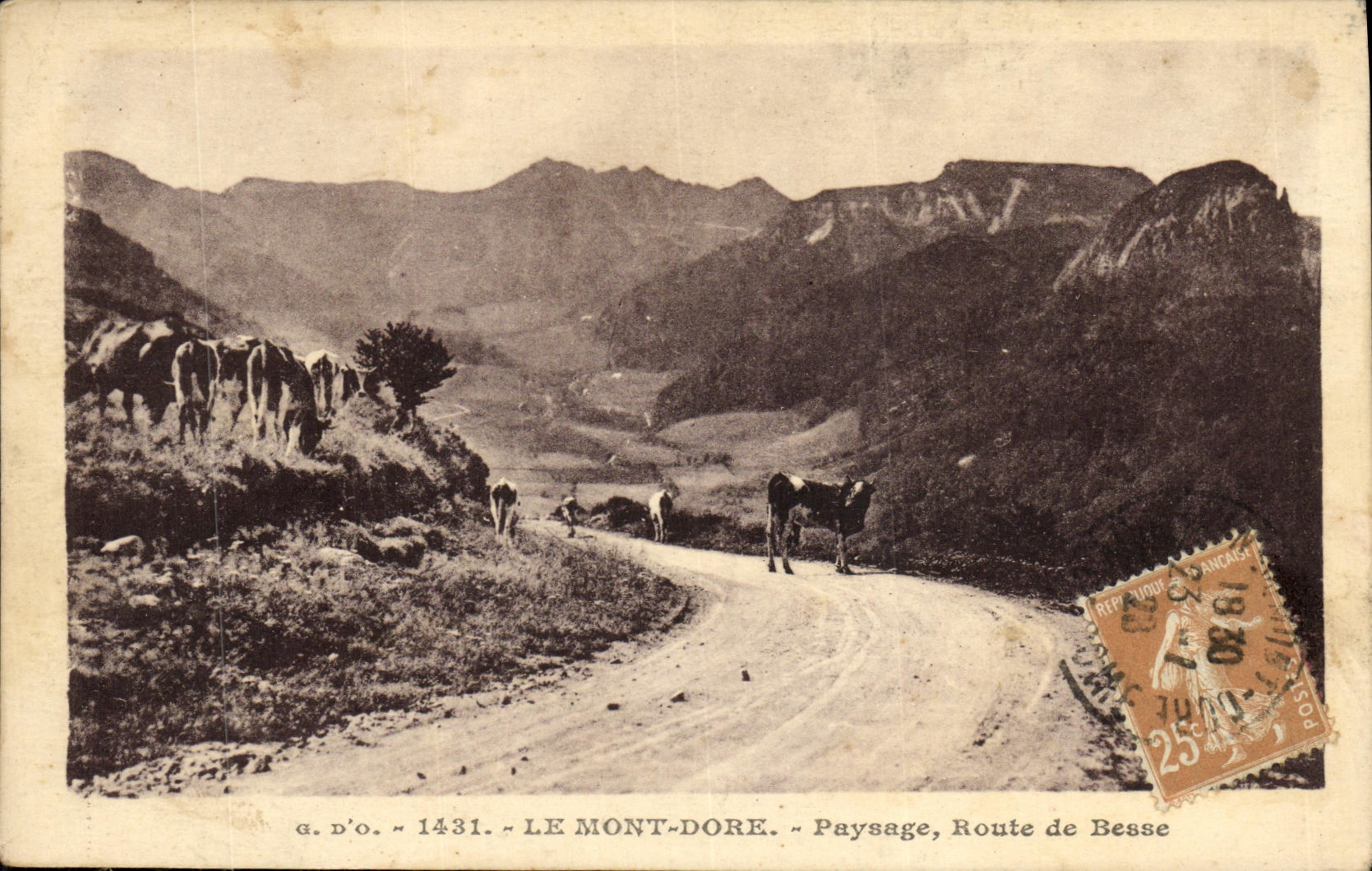 VINTAGE POSTCARD the Mount Gilds Landscape Road De Besse Vaches