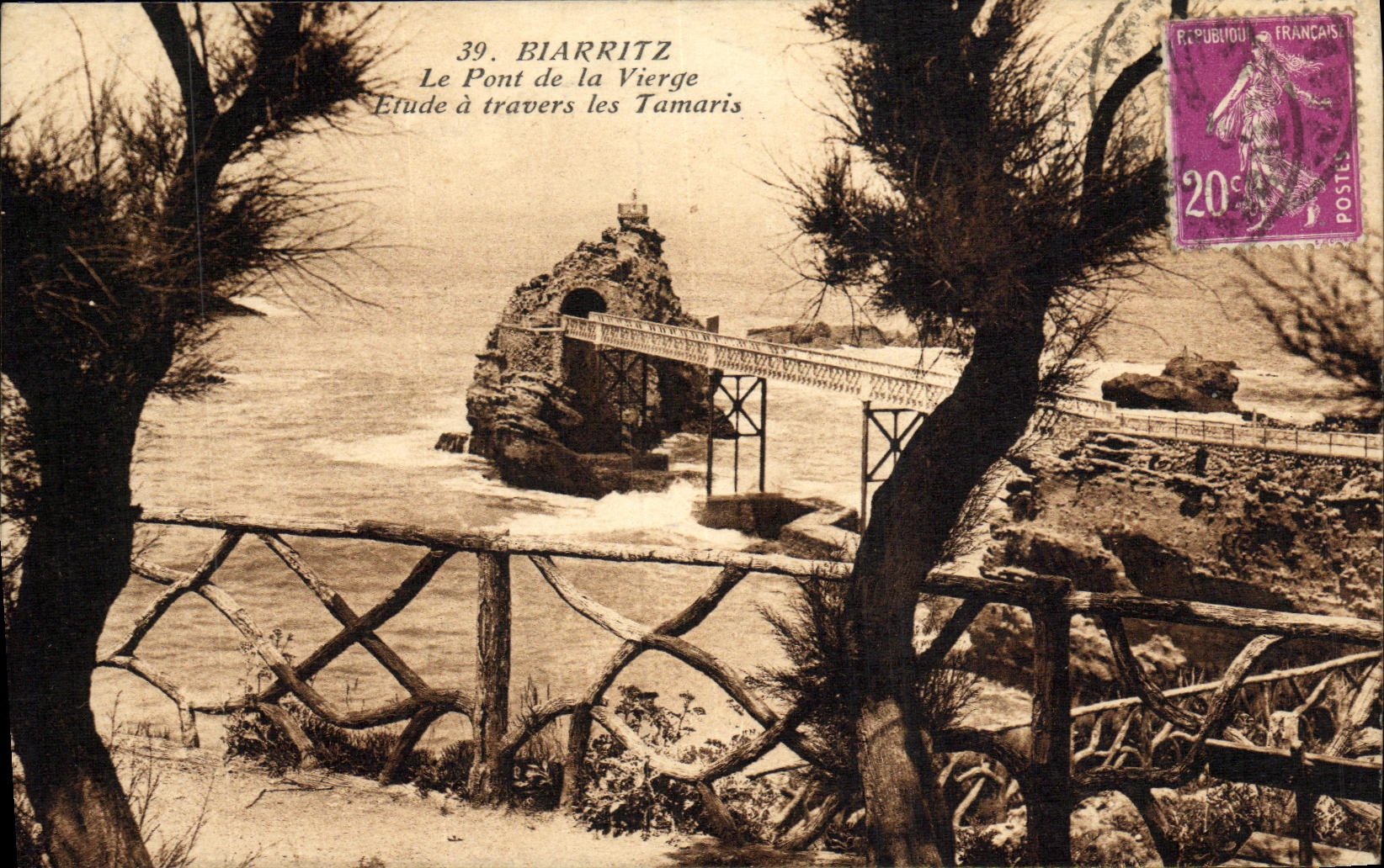 CPA Biarritz Le Pont de La Vierge Etude a Travers Les Tamaris 