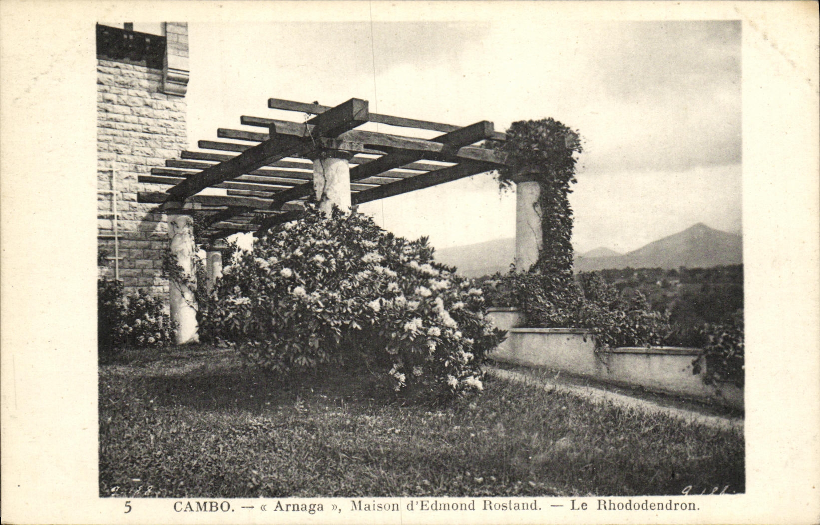 VINTAGE POSTCARD Cambo Arnaga House D Edmond Rostand the rhododendron