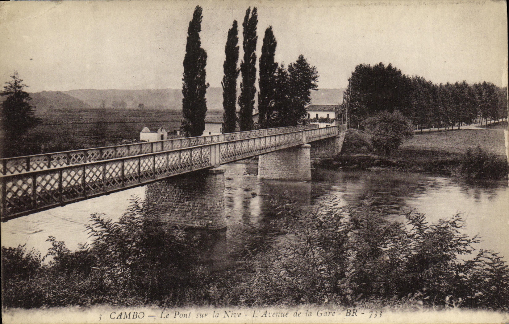 VINTAGE POSTCARD Cambo the Bridge On Nive L Avenue of the Station