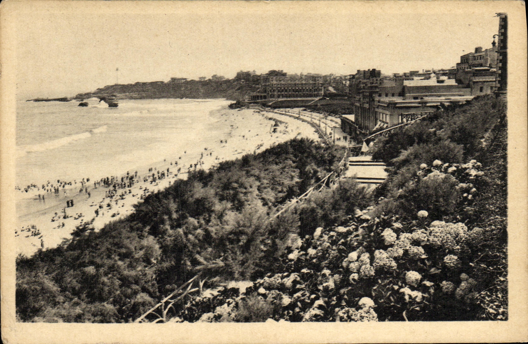 VINTAGE POSTCARD Biarritz Hydrangeas And Main beach