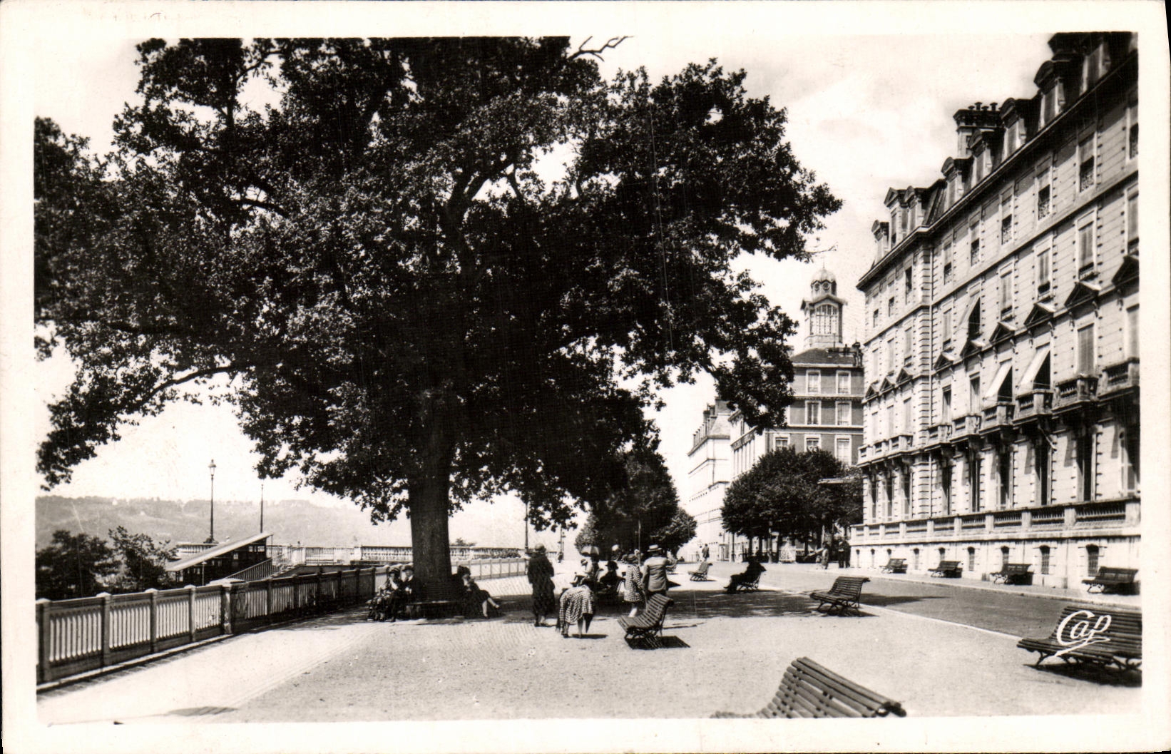 VINTAGE POSTCARD Pau Boulevard of the Pyrenees