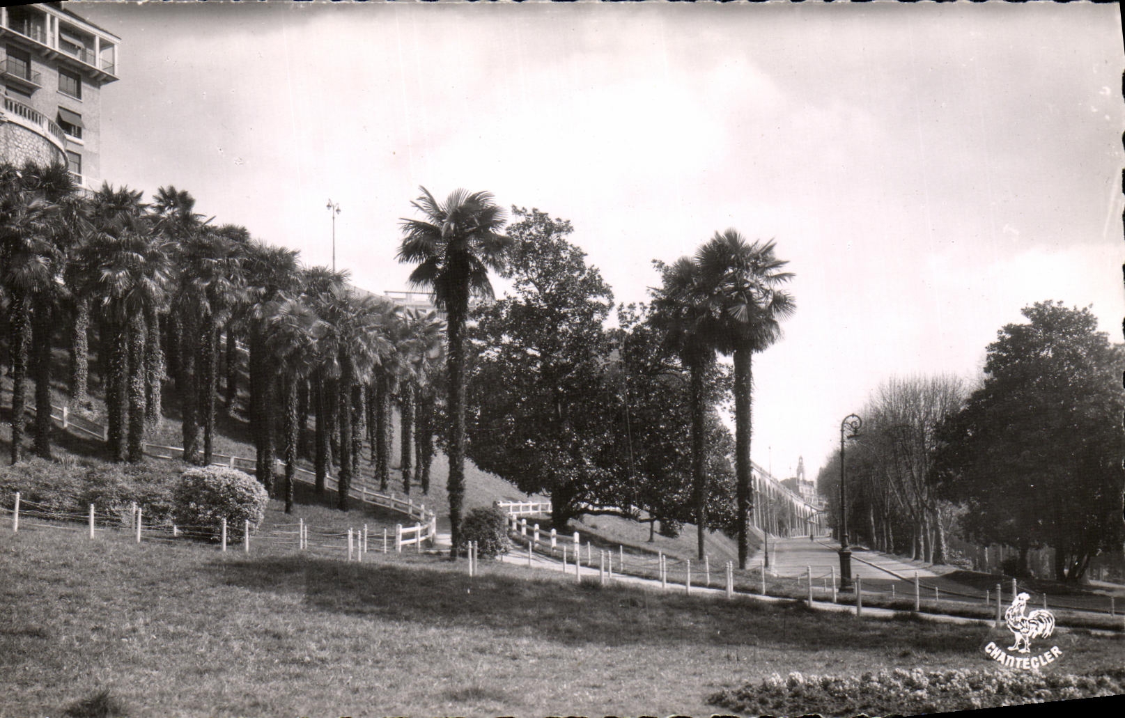 CPSM Pau Palm plantation and L Which occurred of the Station