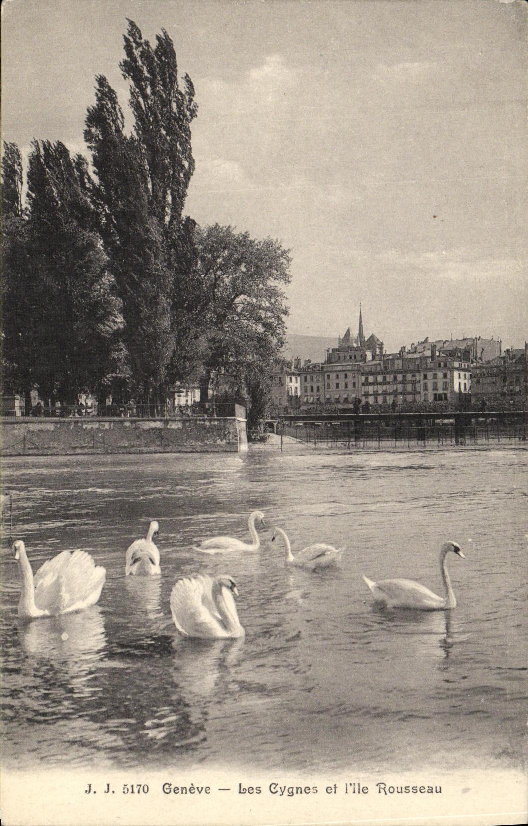 VINTAGE POSTCARD Geneva Swans And L Rousseau
