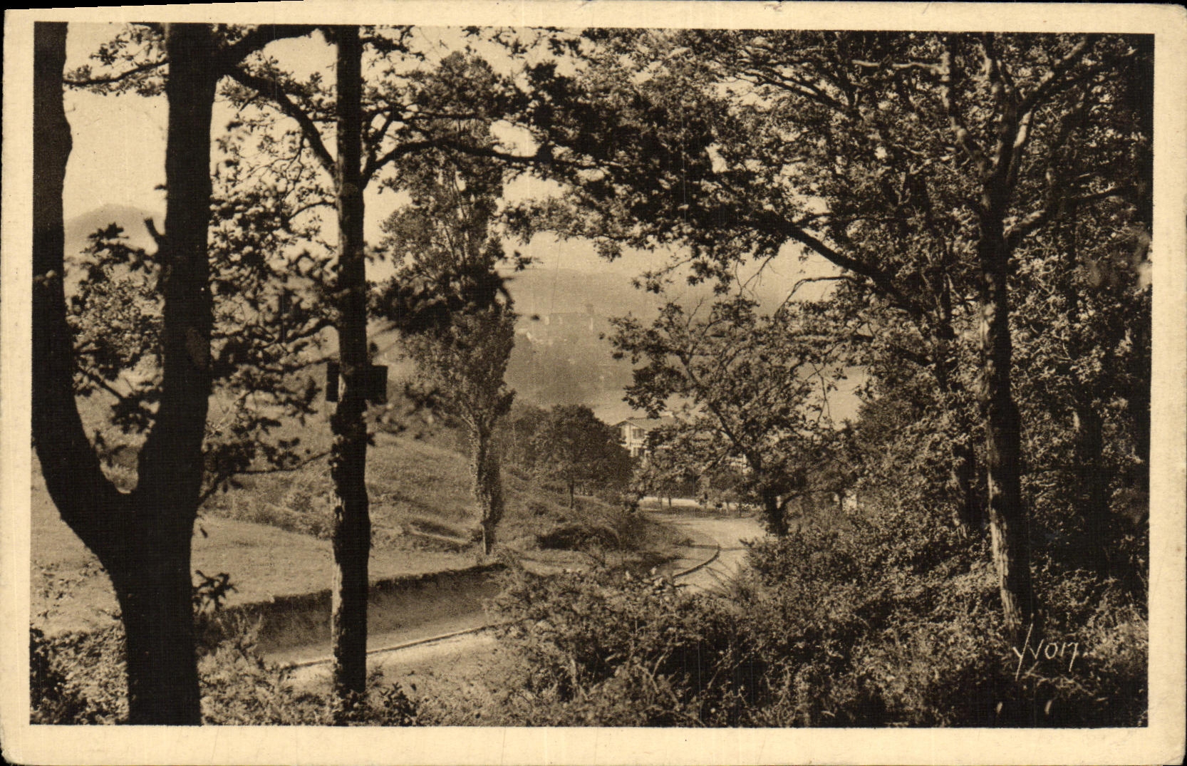 VINTAGE POSTCARD Hendaye Wood D Love