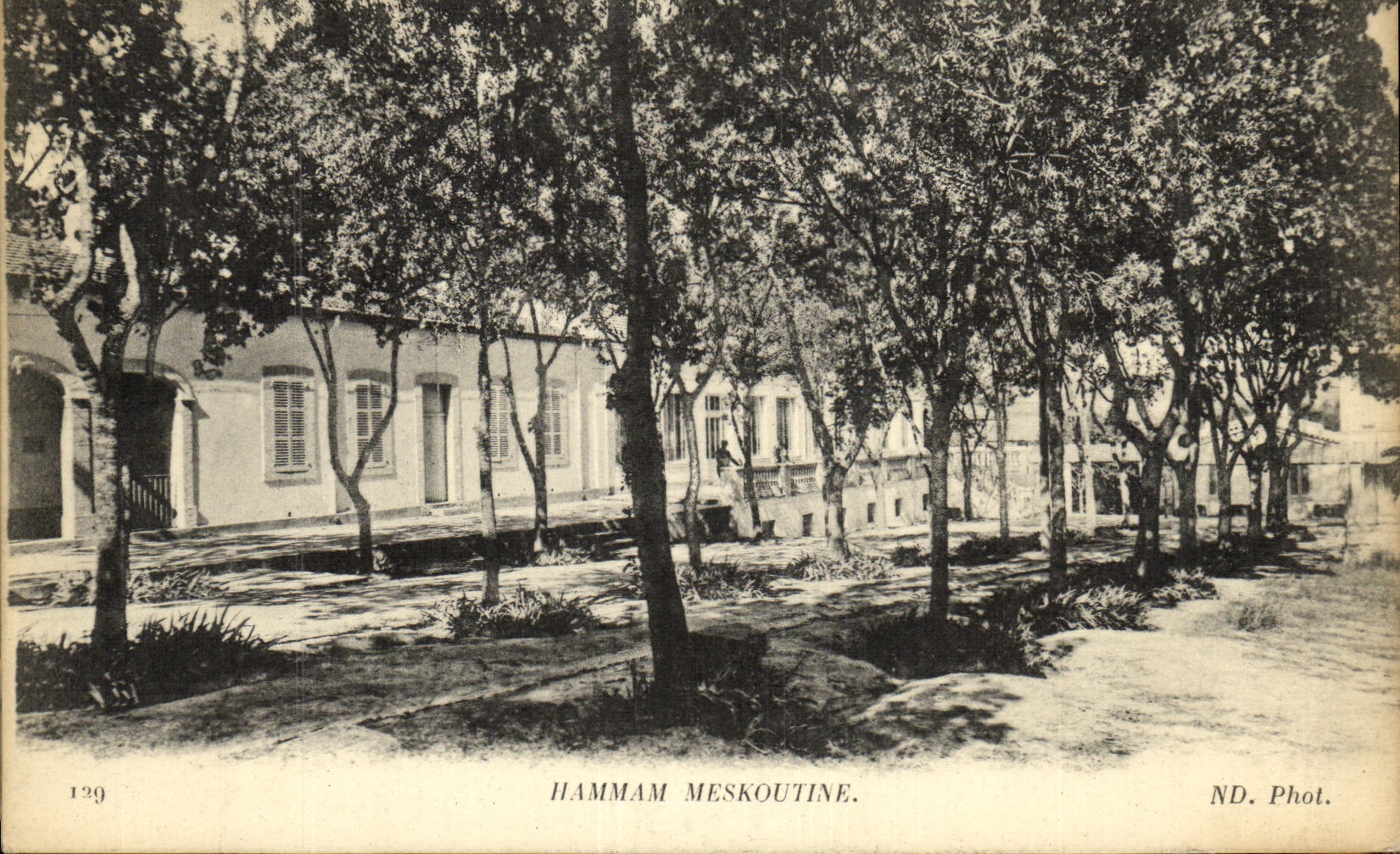 VINTAGE POSTCARD Hammam Meskoutine