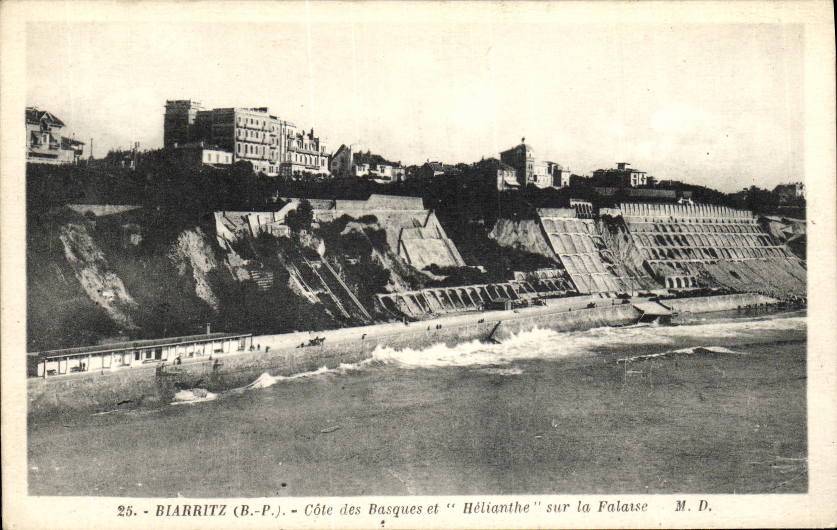 CPA Biarritz Cote des Basques et Helianthe sur la Falaise