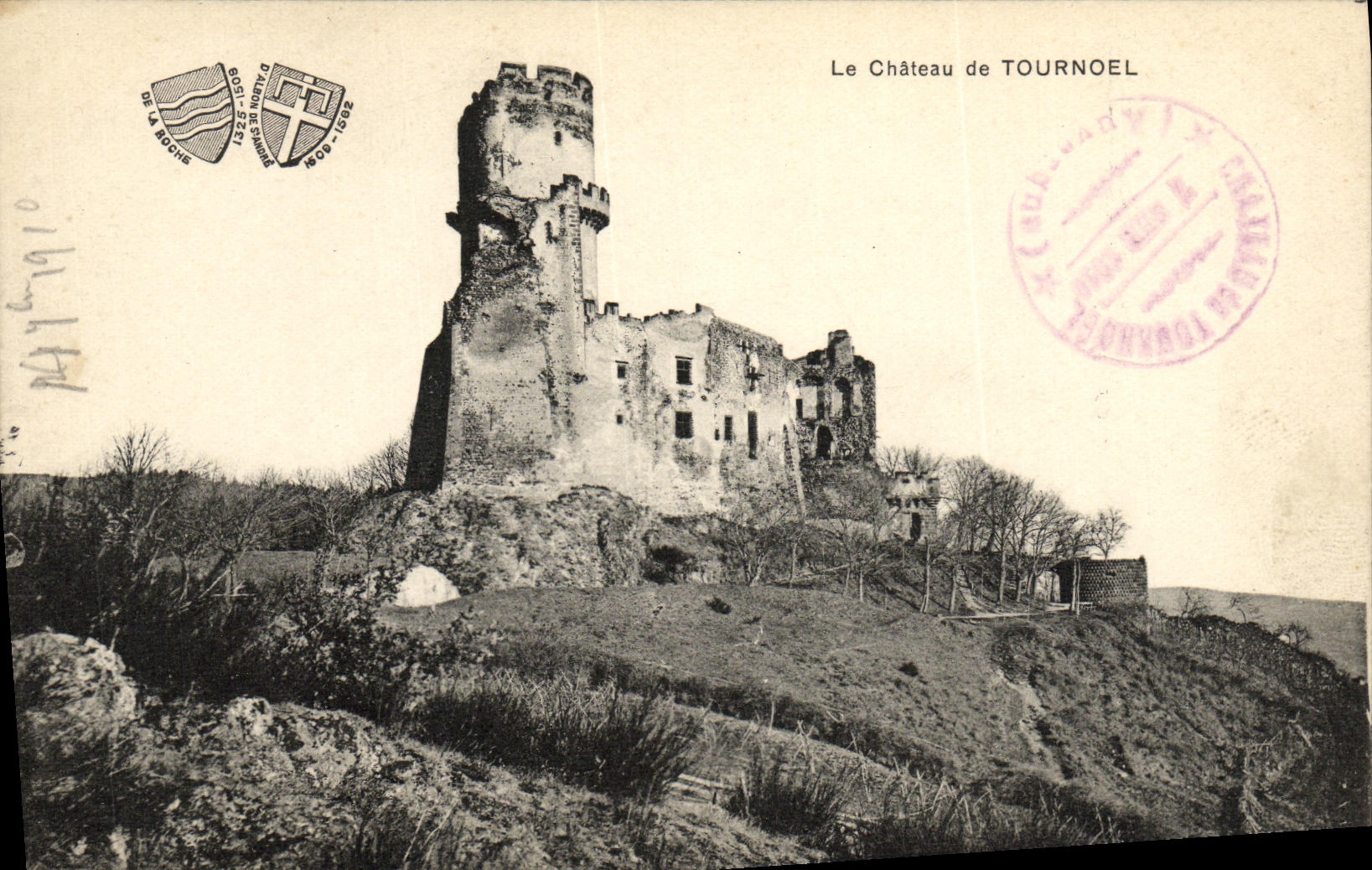 VINTAGE POSTCARD the Castle De Tournoel